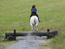 Ireland-Monaghan-Castle Leslie Equestrian Escape